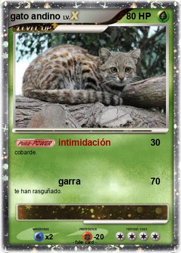 Pokemon gato andino