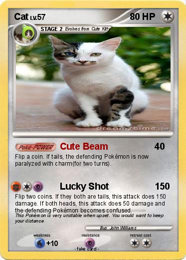 Pokemon Cat