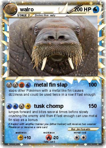 Pokemon walro