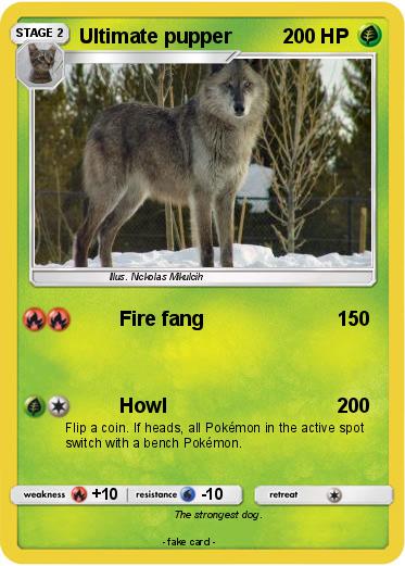 Pokemon Ultimate pupper