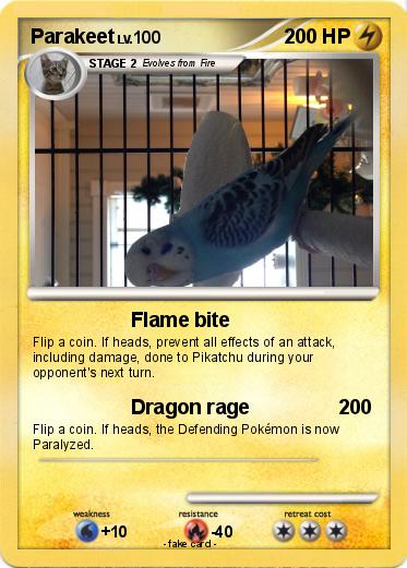 Pokemon Parakeet
