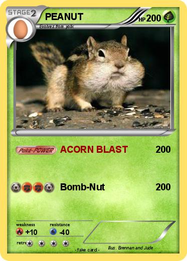 Pokemon PEANUT