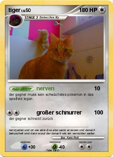 Pokemon tiger