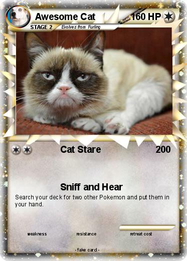 Pokemon Awesome Cat