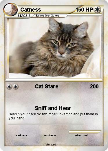 Pokemon Catness