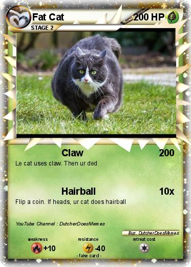 Pokemon Fat Cat