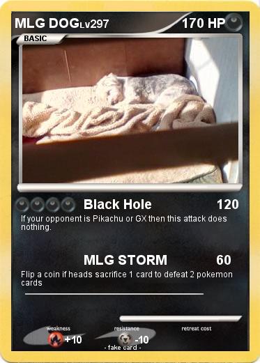 Pokemon MLG DOG
