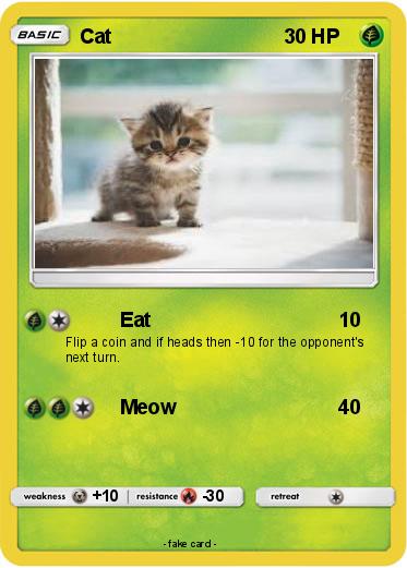 Pokemon Cat