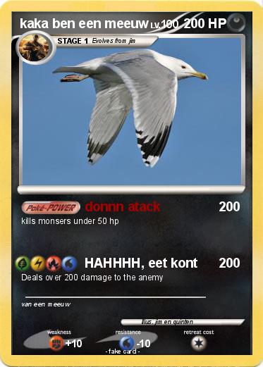 Pokemon kaka ben een meeuw
