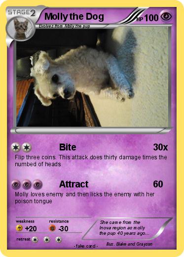 Pokemon Molly the Dog