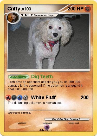 Pokemon Griffy