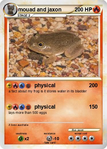 Pokemon mouad and jaxon