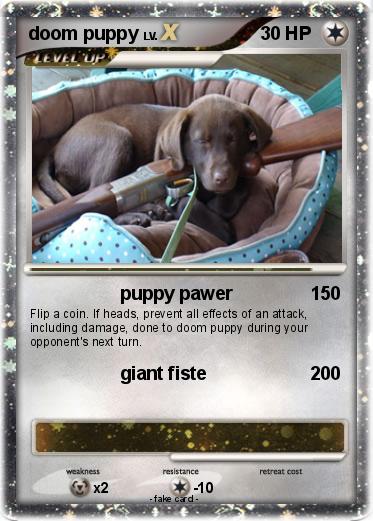 Pokemon doom puppy