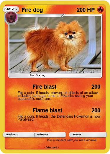 Pokemon Fire dog
