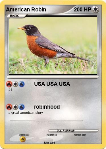 Pokemon American Robin