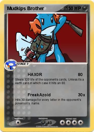 Pokemon Mudkips Brother