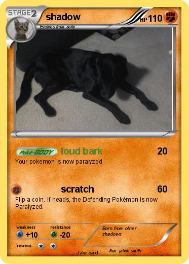 Pokemon shadow