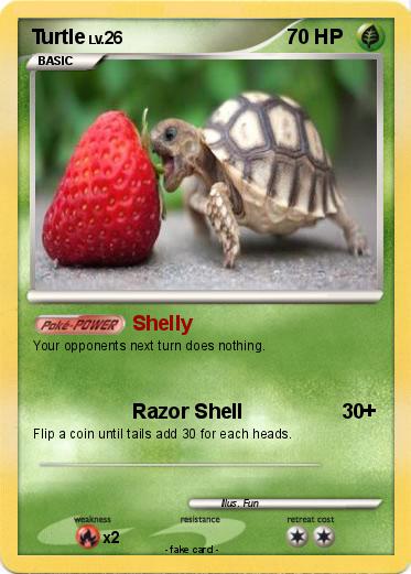 Pokemon Turtle