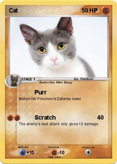 Pokemon Cat
