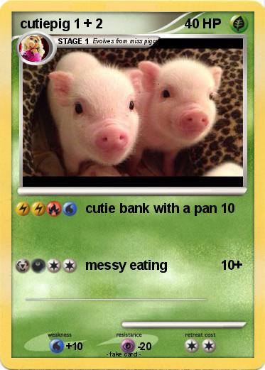 Pokemon cutiepig 1 + 2