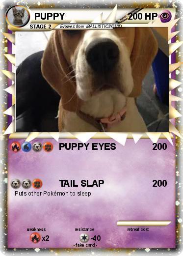Pokemon PUPPY