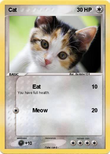 Pokemon Cat