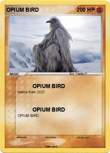 Pokemon OPIUM BIRD