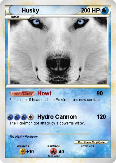 Pokemon Husky