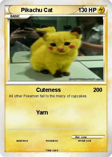 Pokemon Pikachu Cat