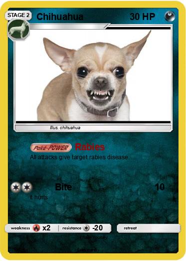 Pokemon Chihuahua