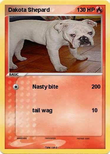 Pokemon Dakota Shepard