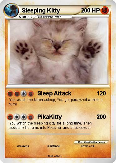 Pokemon Sleeping Kitty