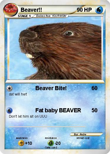 Pokemon Beaver!!