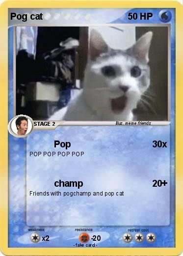 Pokemon Pog cat