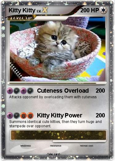 Pokemon Kitty Kitty