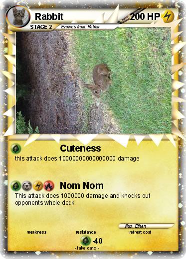 Pokemon Rabbit