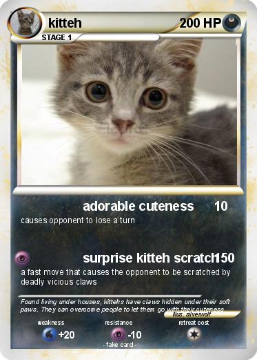 Pokemon kitteh