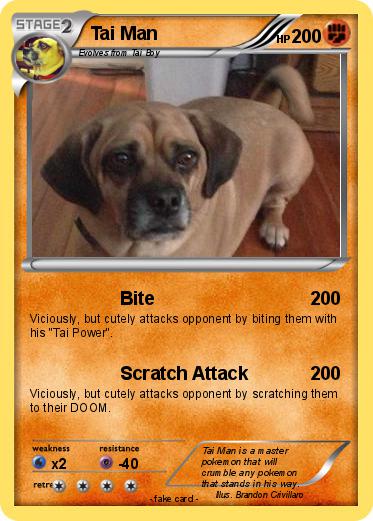 Pokemon Tai Man