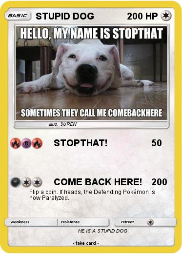 Pokemon STUPID DOG