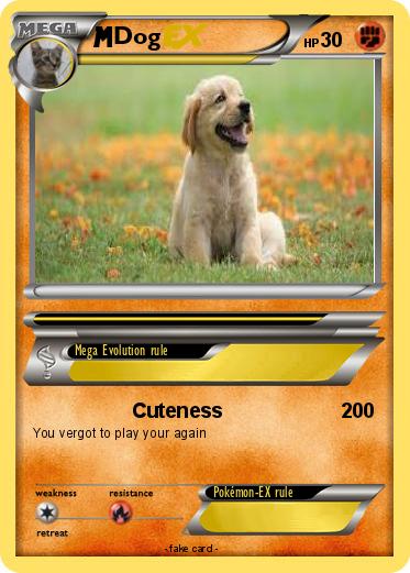 Pokemon Dog