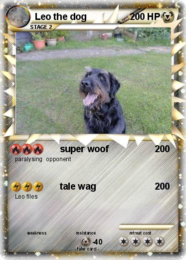 Pokemon Leo the dog