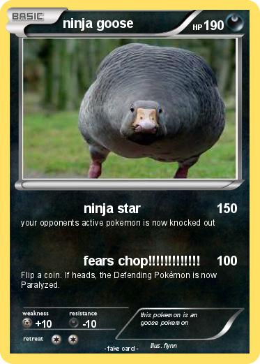 Pokemon ninja goose