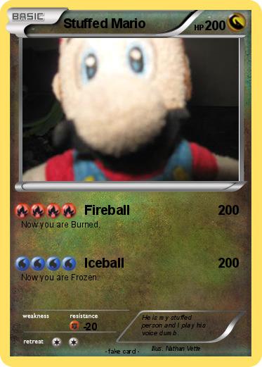 Pokemon Stuffed Mario