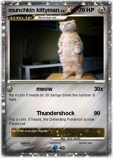 Pokemon munchkin kittyman