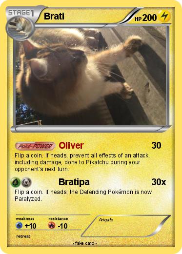 Pokemon Brati