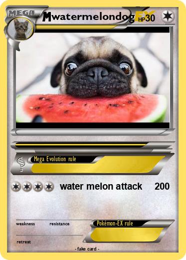 Pokemon watermelondog