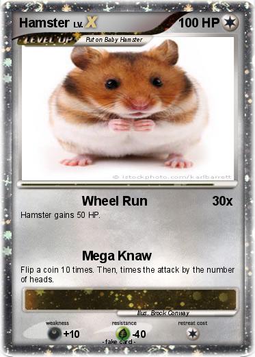 Pokemon Hamster