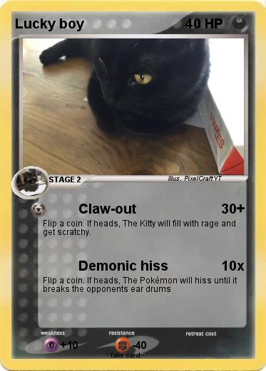 Pokemon Lucky boy