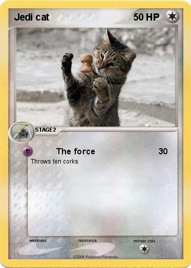 Pokemon Jedi cat 