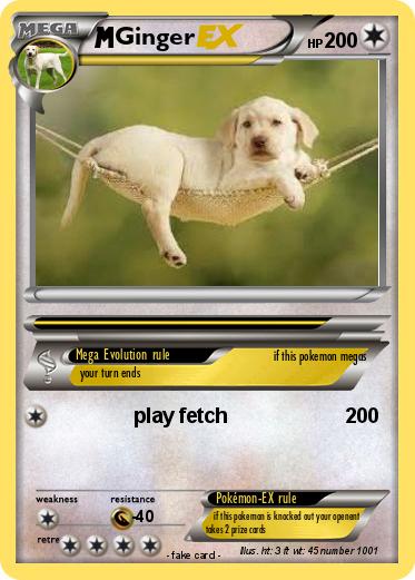 Pokemon Ginger